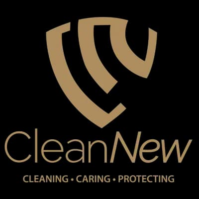 Logo da franquia Cleannew – Limpeza