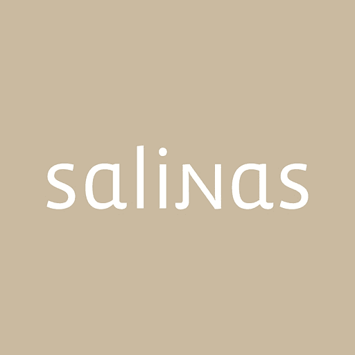 Logo da franquia Salinas – Moda