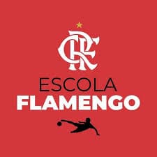 Logo da franquia Escola Flamengo – Saúde e Bem-estar