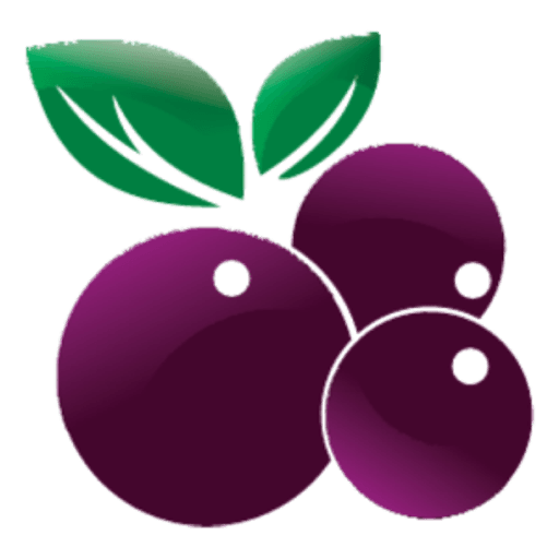 Logo da franquia Kingdom Açaí – Alimentação