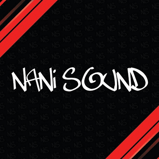 Logo da franquia Nani Sound – Serviços Automotivos